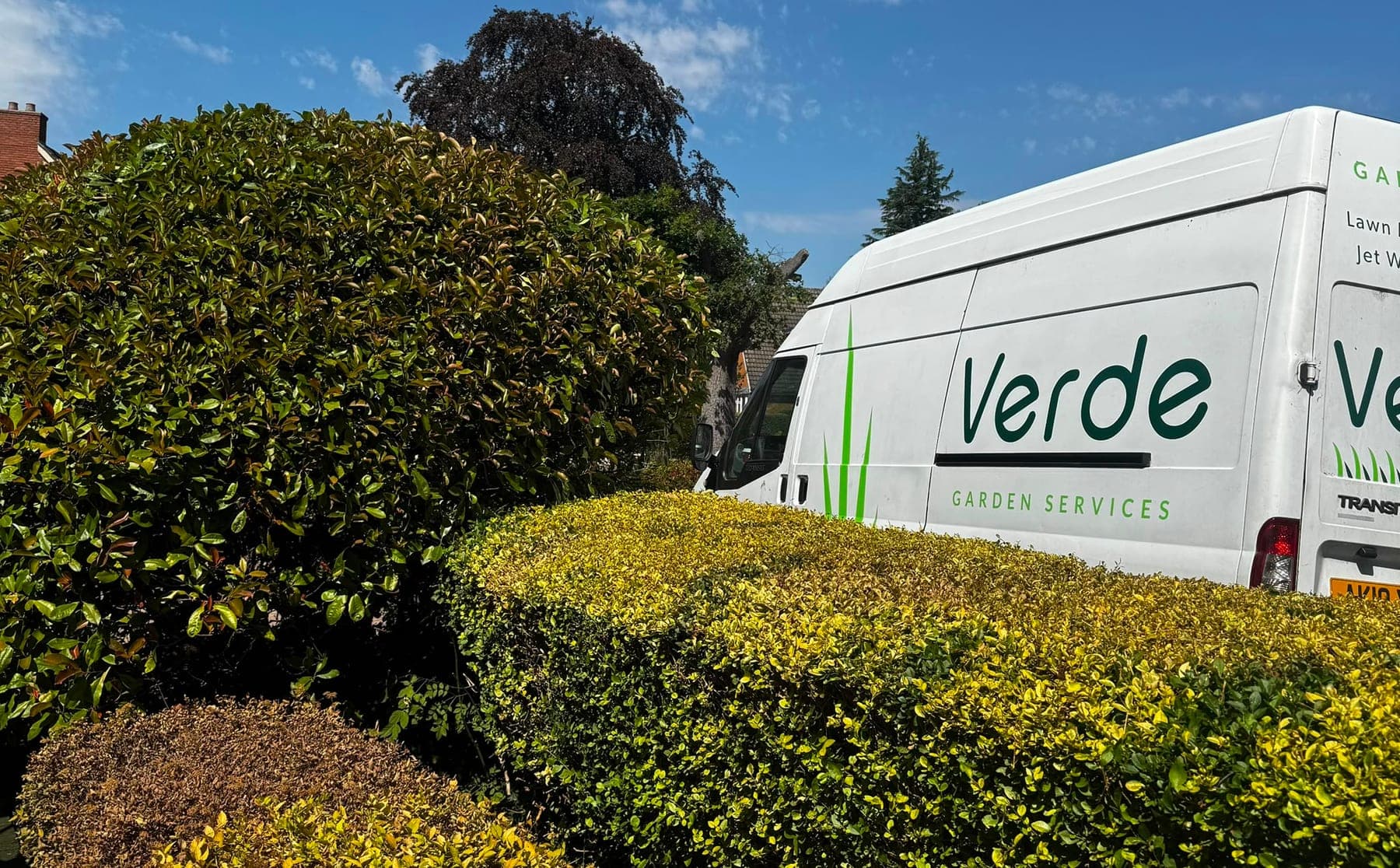 A clipped green and gold hedge with the Verde van parked behind it